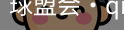 qm球盟会
